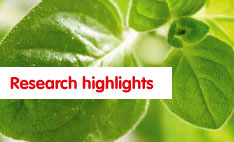 research highlights
